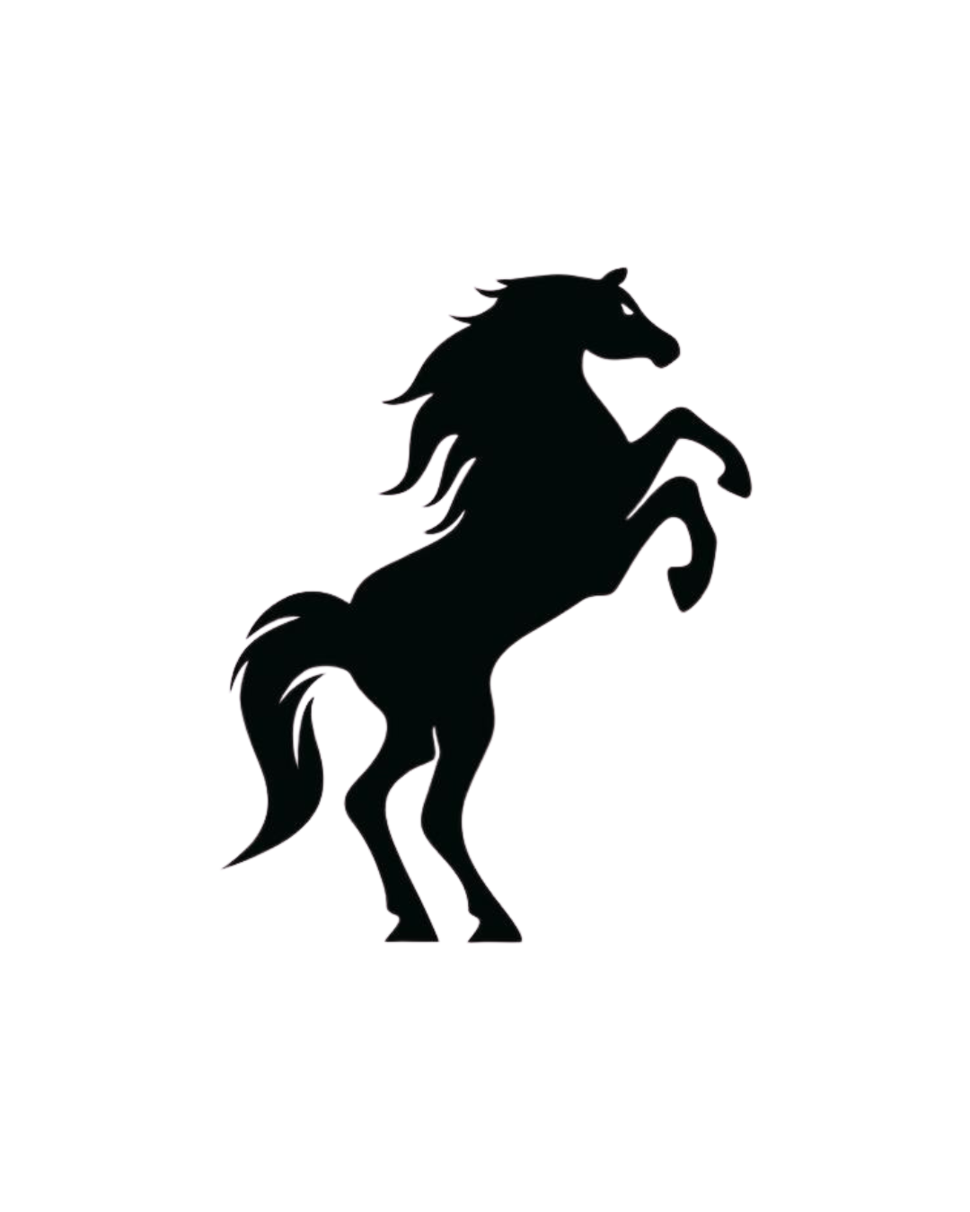 Men's Polo